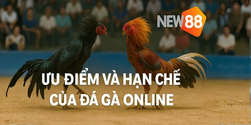 Ưu điểm và hạn chế của đá gà online